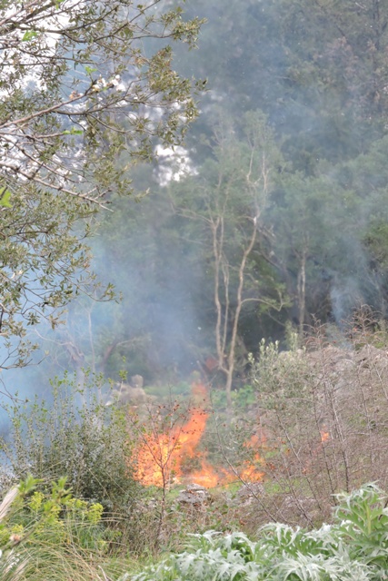 A controlled burn on the edge of the Maquis